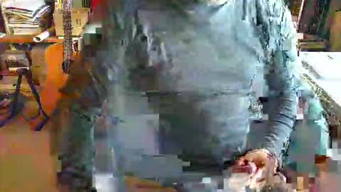 greyhounddog online show from 15, 10, 2025