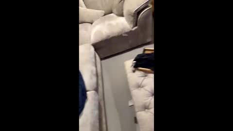 gt79802068 online show from 11, 11, 2025