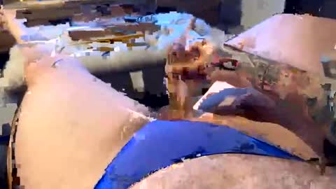 gt79802068 online show from 11, 1, 2026