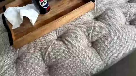 gt79802068 online show from 19, 4, 2026