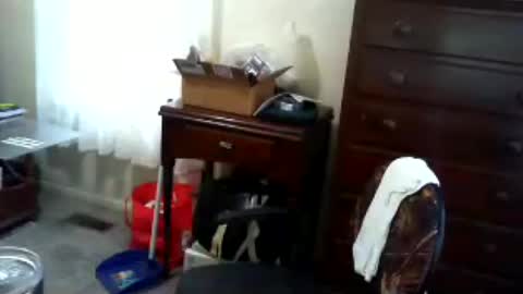 Gary online show from 25, 6, 2026