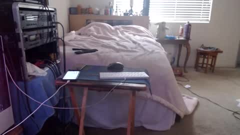 Mario online show from 15, 2, 2026