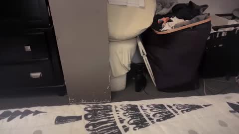 gumbywanna online show from 20, 12, 2024