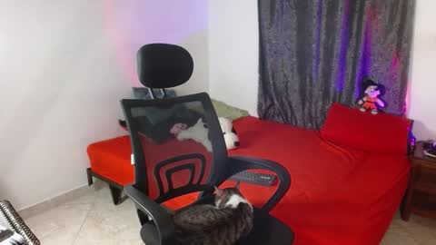 Guts online show from 25, 11, 2025