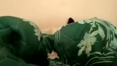 guttybeton online show from 17, 4, 2026