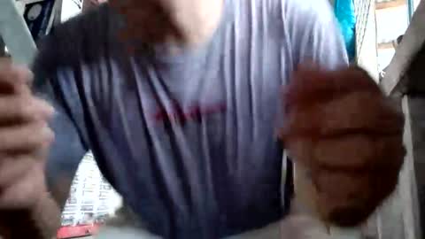 gymsin_borte online show from 26, 4, 2026