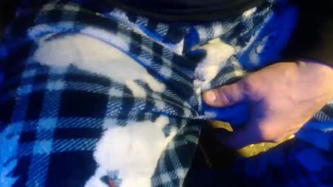 H2omygod online show from 17, 1, 2025