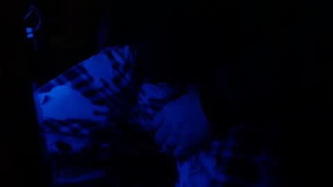 H2omygod online show from 25, 1, 2025