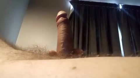 h_rd333 online show from 31, 1, 2025