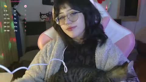 Hachiko online show from 28, 7, 2026