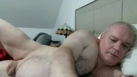 Snapshot of haggisstop chatting on 17, 12, 2025 haggisstop online show from 17, 12, 2025