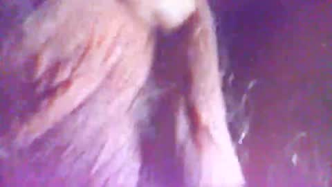 hagridthehorrible online show from 5, 12, 2025