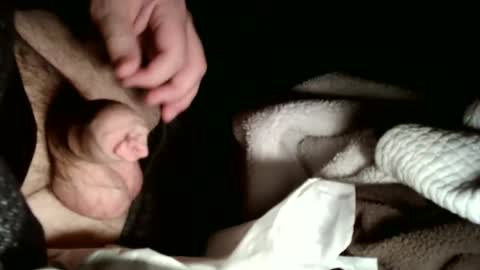 Snapshot of hailhail2 chatting on 2, 2, 2026 share9 online show from 2, 2, 2026