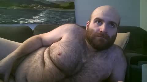 Hairiest Bear online show from 20, 1, 2025