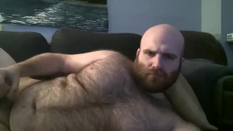 Hairiest Bear online show from 26, 1, 2025