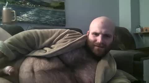 Hairiest Bear online show from 8, 3, 2025