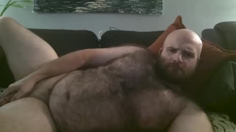 Hairiest Bear online show from 7, 10, 2025