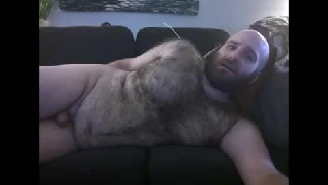 Hairiest Bear online show from 9, 1, 2026