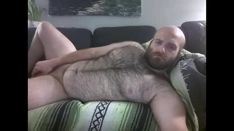 Hairiest Bear online show from 2, 5, 2026