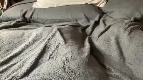 J  M online show from 5, 3, 2025