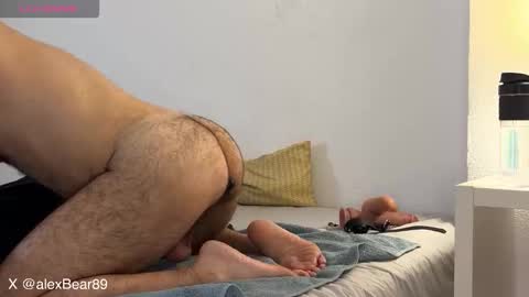hairyarabbear online show from 2, 12, 2025