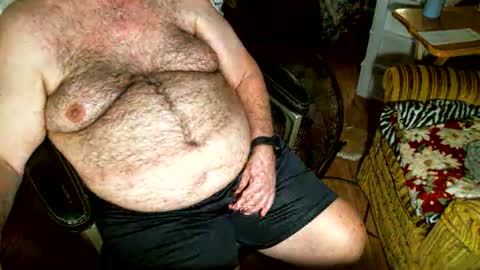 hairybear813 online show from 2, 11, 2025