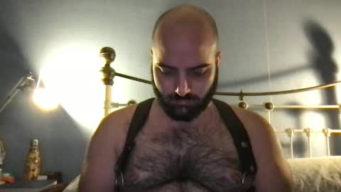 Hairy Guy online show from 8, 12, 2024