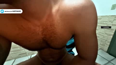 Snapshot of hairyshort chatting on 10, 12, 2024 hairy and short online show from 10, 12, 2024