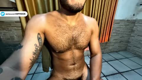 Snapshot of hairyshort chatting on 14, 1, 2025 hairy and short online show from 14, 1, 2025
