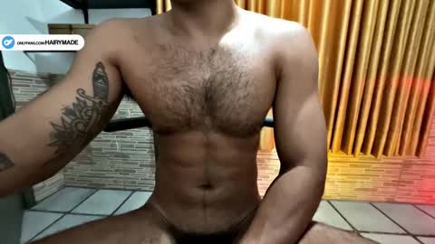 Snapshot of hairyshort chatting on 27, 1, 2025 hairy and short online show from 27, 1, 2025
