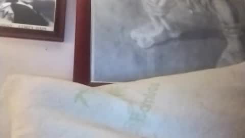 Snapshot of hairyspermballs chatting on 13, 1, 2026 Marty online show from 13, 1, 2026