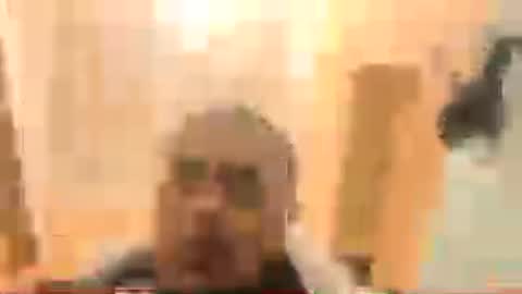 half86 online show from 29, 7, 2026
