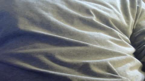 Snapshot of hamhead71 chatting on 12, 1, 2025 hamhead71 online show from 12, 1, 2025