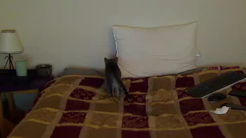 hammerthatthang73 online show from 14, 10, 2025