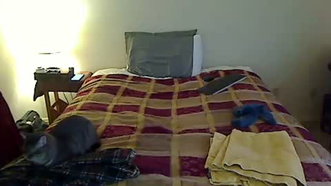 hammerthatthang73 online show from 24, 3, 2026