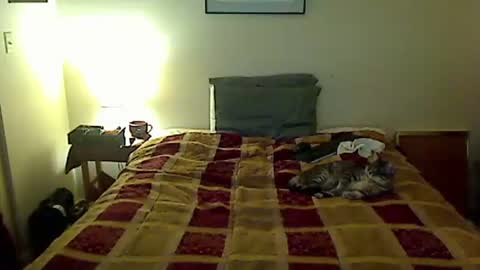 hammerthatthang73 online show from 4, 4, 2026