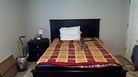 hammerthatthang73 online show from 15, 4, 2026