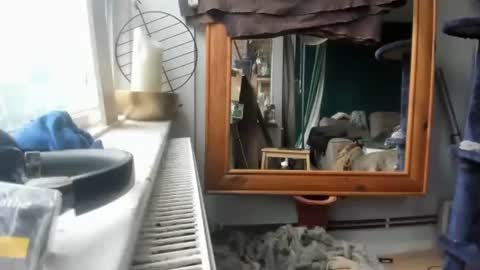 handncocknocum online show from 17, 12, 2024