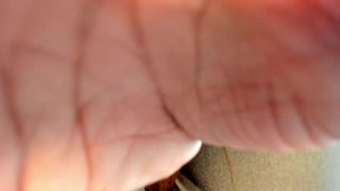 Hanna online show from 26, 1, 2025