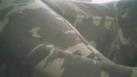 hanshans20212 online show from 28, 3, 2026