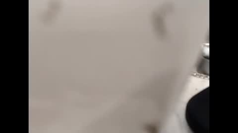 Snapshot of hardandhorny422 chatting on 12, 10, 2025 hardandhorny422 online show from 12, 10, 2025