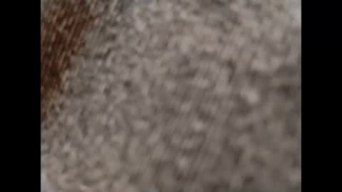 Snapshot of hardandhorny422 chatting on 15, 10, 2025 hardandhorny422 online show from 15, 10, 2025