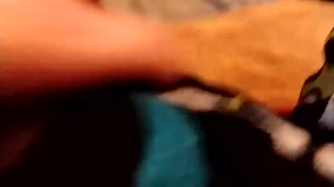 Snapshot of hardandhorny422 chatting on 4, 12, 2025 hardandhorny422 online show from 4, 12, 2025