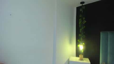 harleyqueen_robbie online show from 21, 12, 2024