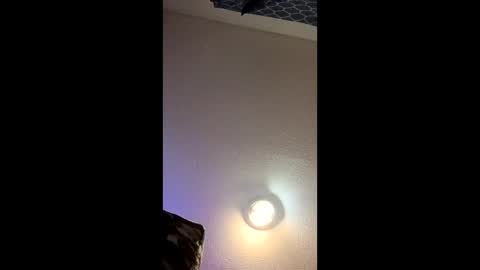 harleywoods7878 online show from 9, 3, 2026