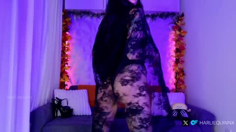 Harliequinnx - Schedule Below Exxxotica DC Dec 6-8th online show from 31, 10, 2025