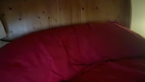 Snapshot of haroldhaller chatting on 13, 1, 2026 Harry H online show from 13, 1, 2026