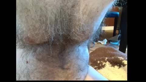 harry_banana online show from 13, 3, 2026