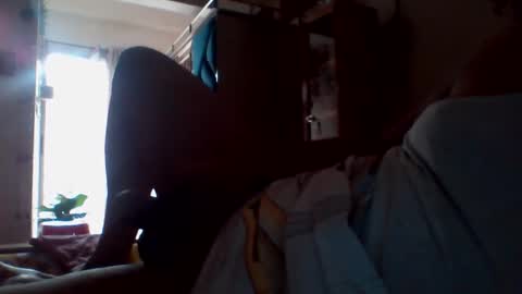 hastra hot online show from 17, 3, 2026