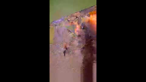 hawks2113 online show from 27, 4, 2026